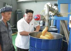 Rộ tin đồn ông Kim Jong-un bị "âm thầm lật đổ"