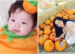 "Sao" Việt cùng các nhóc tì hào hứng đón Halloween sớm