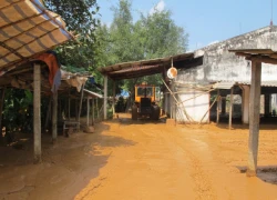 Tạm đình chỉ công ty để xảy ra vụ vỡ đập bùn thải