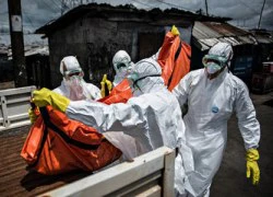 Thảm họa Ebola sẽ hoành hành nếu không tìm ra vaccine