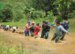 Thanh niên làm cầu tạm giúp dân tránh lũ