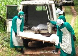 Thế giới có 4.542 trường hợp đã tử vong vì virus Ebola