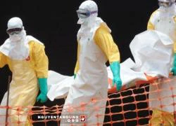 Thực hiện xét nghiệm xác định virus Ebola tại Việt Nam