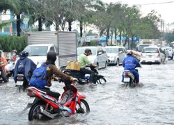 "Việc TPHCM ngập, cả thế giới đều biết..."