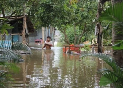 Vỡ đê, hơn 20 ngôi nhà chìm trong nước