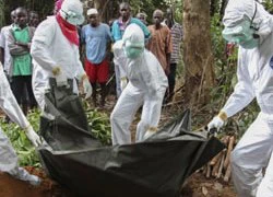 WHO: Đã có 3.338 người tử vong vì dịch Ebola