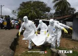 WHO: Số ca nhiễm virus Ebola đã vượt quá 10.000 người