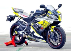 Yamaha R6 phong cách nước tăng lực