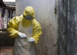 Ấn Độ xuất hiện ca nhiễm Ebola đầu tiên