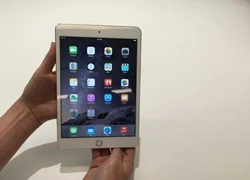 Apple có thể khai tử iPad mini