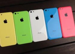 Apple có thể ngừng sản xuất iPhone 5C vào năm sau