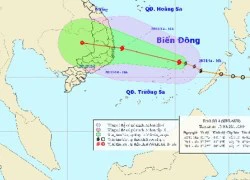 Bão số 4 đổ bộ các tỉnh Bình Định - Khánh Hòa