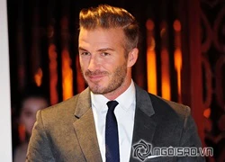 Beckham 'choáng' khi fan Việt vừa lái xe chở con vừa chụp hình