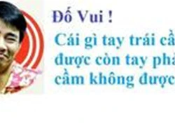 Câu đố hài hước