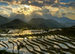 Chiêm ngưỡng vẻ đẹp buộng bậc thang Hoàng Su Phì mùa đổ nước