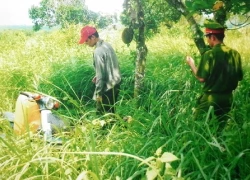 Chủ trang trại tiết lộ thông tin độc quyền về kỳ án vườn mít