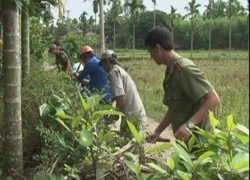 "Có người thả rắn lục đuôi đỏ" chỉ là tin đồn thêu dệt