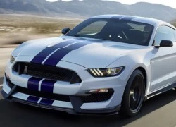 Ford Mustang Shelby GT350 &#8220;Ngựa hoang&#8221; cực khỏe