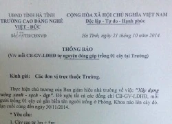 Giảng viên ức phát khóc vì bị ép... trồng cây siêu cổ thụ