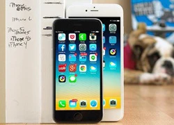 iPhone 6 bản 128 GB gặp vấn đề khởi động lại ngẫu nhiên