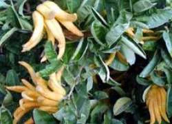Khi &#8220;chiến binh&#8221; lề mề&#8230;