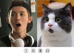 Loạt ảnh "cute" so Luhan với chú mèo gây bão cộng đồng mạng Trung Quốc