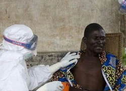 Mẫu máu nhiễm Ebola bị cướp rất lạ lùng