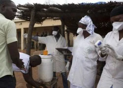 Mẫu máu nhiễm Ebola ở Guinea bị cướp