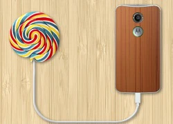 Moto X và Moto G được lên Android 5.0