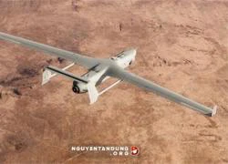 Mỹ tăng cường sử dụng UAV trong cuộc chiến chống IS