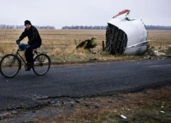 Nhà báo Anh: Tên lửa bắn rơi MH17 "là của Nga"