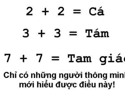 Những câu đố hại não (phần 15)