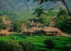 Những tour nội địa giá rẻ dưới 1 triệu đồng