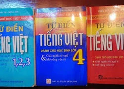 Rà soát, thu hồi 8 cuốn từ điển tiếng Việt