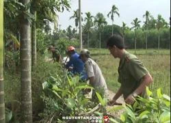 Sự thật thông tin "có người thả rắn lục đuôi đỏ" gây hoang mang