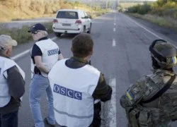 Ukraine: 80% nhân viên OSCE ở Mariupol là công dân Nga