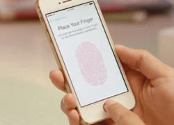 Vì sao Touch ID trên iPhone không chạy khi khởi động lại máy ?