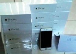 Vụ lừa hơn 40 tỷ đồng mua bán iphone 6: Bài học đắt giá