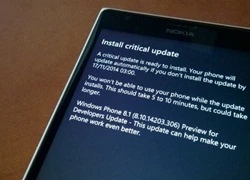 Windows Phone 8.1 Developer Preview nhận " bản cập nhật quan trọng"