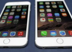 Xôn xao vụ lừa đảo 30 tỷ đồng tiền mua điện thoại Iphone 6