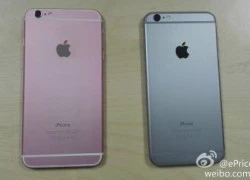 Xuất hiện iPhone 6 Plus bản màu hồng