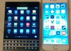 '11 điểm đáng ghét của BlackBerry Passport'