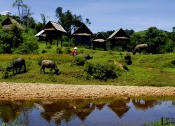 An Toàn đắm say lòng lữ khách