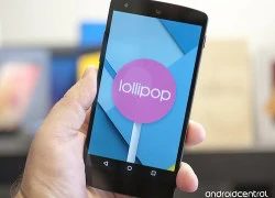 Android 5.1 với nhiều nâng cấp có thể ra mắt đầu năm sau