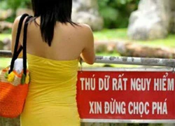 Ảnh hài hước trong ngày: Coi chừng thú dữ