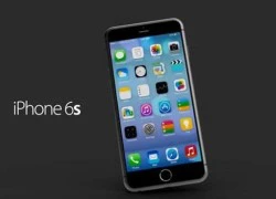 Apple đang làm một chiếc iPhone màn hình 4 inch?