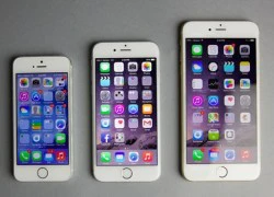 Apple đang phát triển iPhone 6S mini màn hình 4 inch