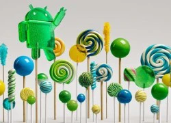 Bản Android 5.1 sẽ ra mắt vào đầu năm 2015