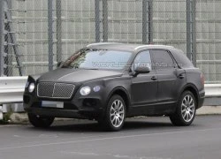 Bentley đặt mục tiêu tăng gấp đôi doanh số vào năm 2020