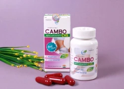 Cambo CHS &#8211; Giải pháp tối ưu cho người béo phì, mỡ máu